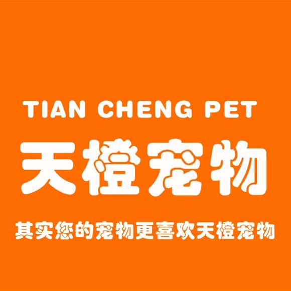 天橙宠物:重庆城区江北区大石坝附近