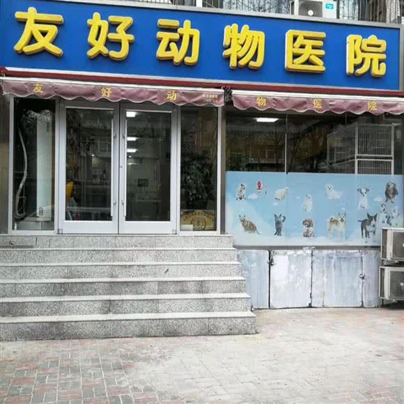 友好动物医院:石家庄市长安区谈固附近