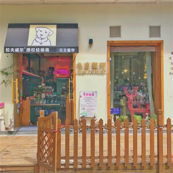 毛吉宠物(有爱的撸狗吸猫场所):重庆城区江北区五里店/江北嘴附近