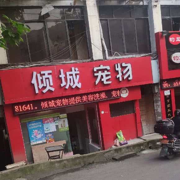 倾城宠物:重庆城区江北区五里店/江北嘴附近