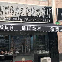 重庆宠物狗狗宠物实体店:重庆城区江北区五里店/江北嘴附近