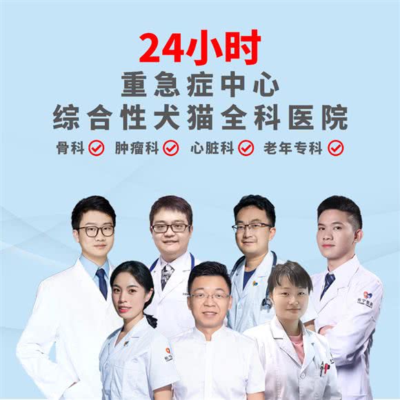 康诺宠物医院:重庆城区江北区五里店/江北嘴附近