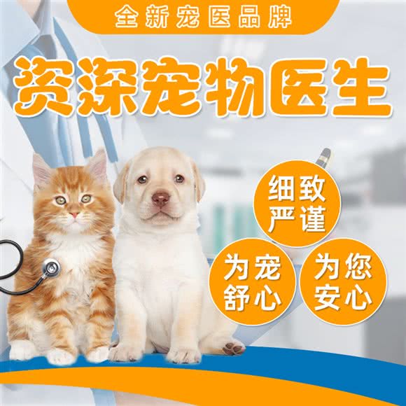 宠福欣动物医院(凤凰湾店):重庆城区江北区佰福高尔夫附近