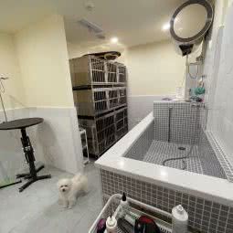 猕猕宠物:重庆城区江北区小苑/鸿恩寺附近