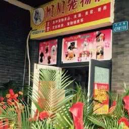 mini宠物店:重庆城区沙坪坝区磁器口附近
