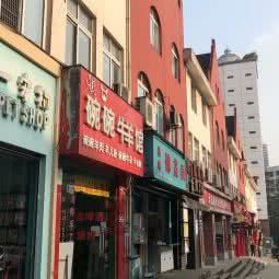 伊一宠物:重庆城区沙坪坝区天星桥附近