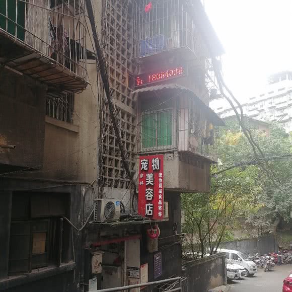 家伟宠物美容店:重庆城区沙坪坝区天星桥附近