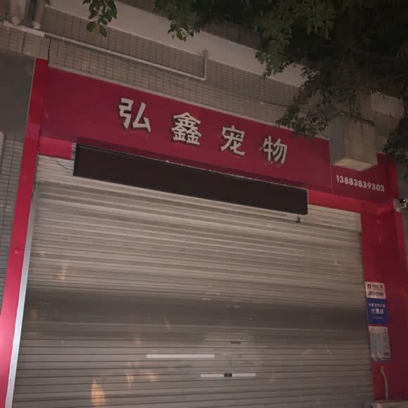 弘鑫宠物:重庆城区沙坪坝区天星桥附近