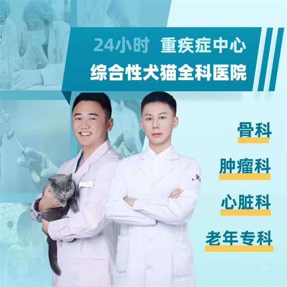 佑宁宠物医院24小时(沙坪坝店):重庆城区沙坪坝区天星桥附近
