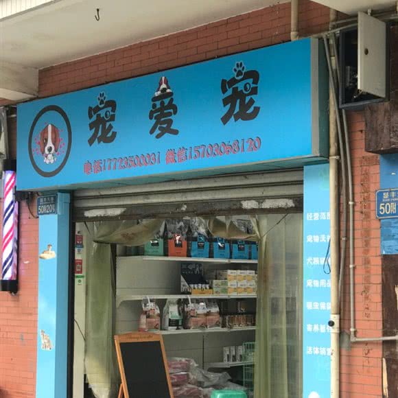 宠爱宠:重庆城区沙坪坝区小龙坎附近