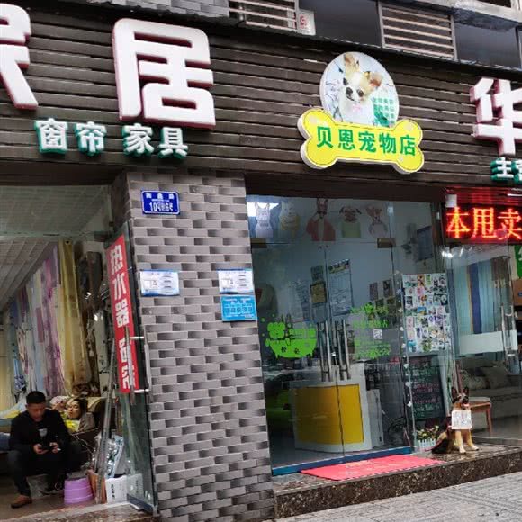 贝恩宠物店:重庆城区沙坪坝区大学城附近
