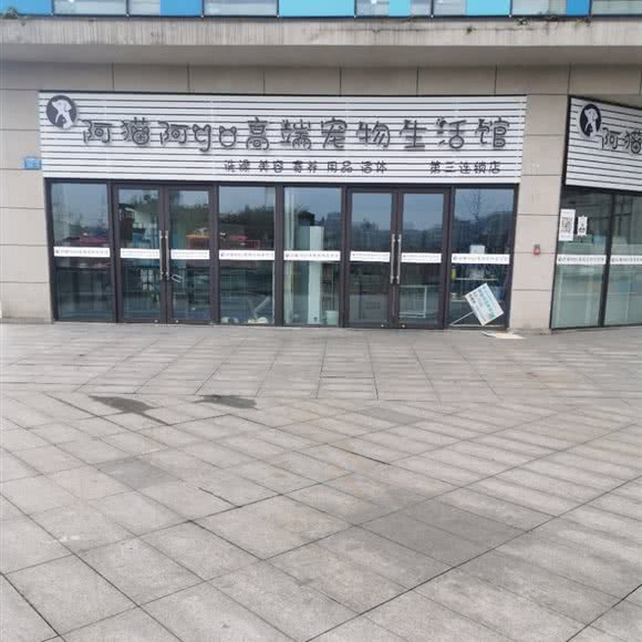 阿猫阿go高端宠物狗生活馆:重庆城区沙坪坝区大学城附近