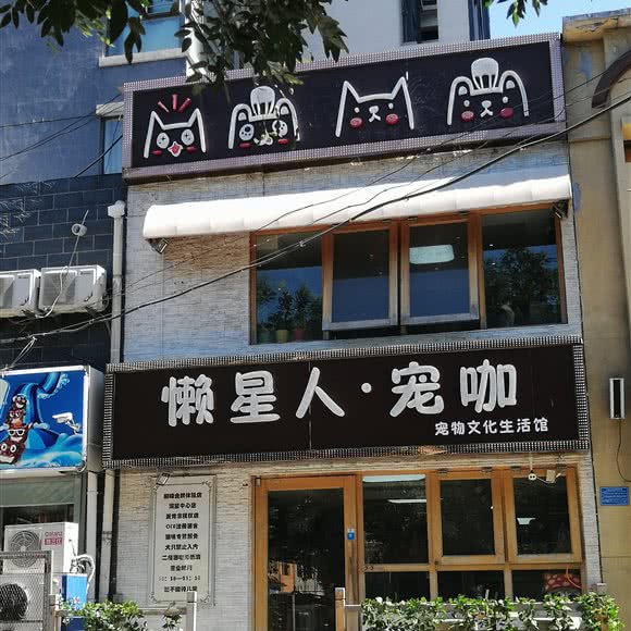 懒星人·猫咖:石家庄市长安区盛世长安附近