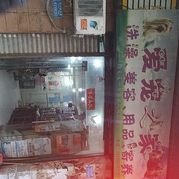 爱宠之家(西郊路24巷店):重庆城区九龙坡区杨家坪附近