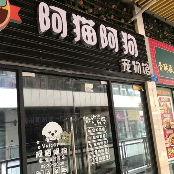 阿猫阿狗宠物馆:重庆城区九龙坡区杨家坪附近