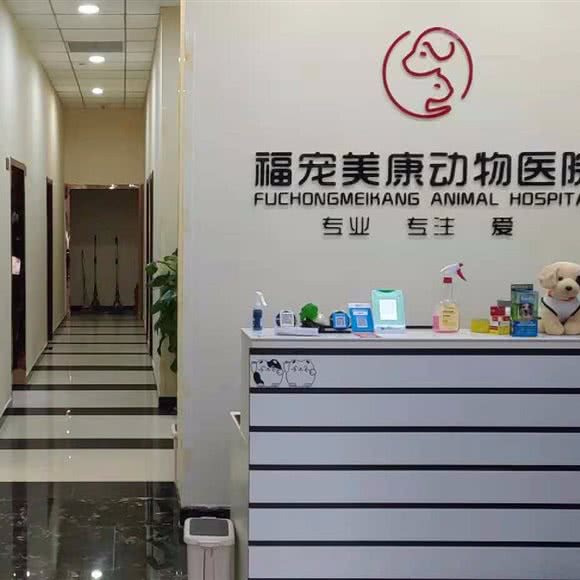 福宠美康动物医院:石家庄市长安区盛世长安附近