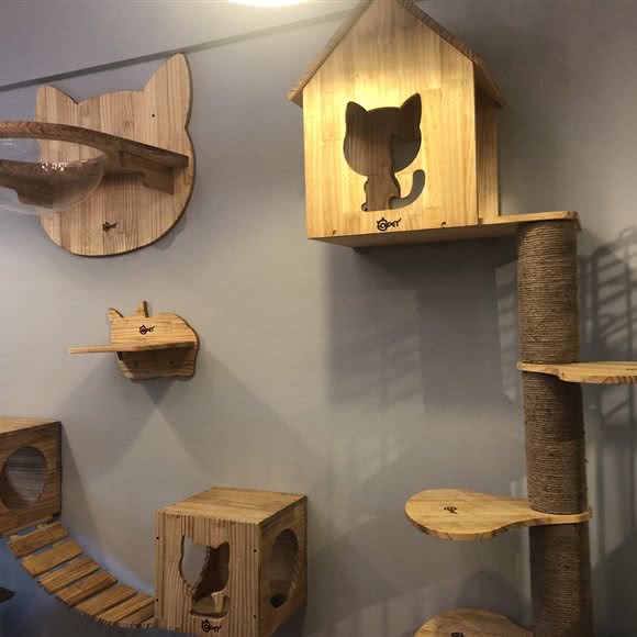 猫小妹猫咪工作室:重庆城区九龙坡区谢家湾附近