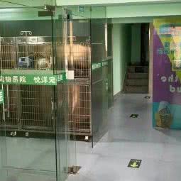 悦洋宠物医院(谢家湾店):重庆城区九龙坡区谢家湾附近