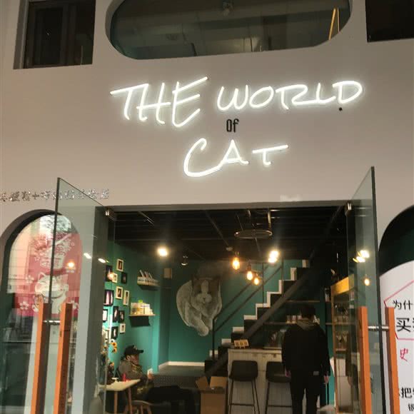 THE WORLD of CAT:重庆城区九龙坡区袁家岗附近