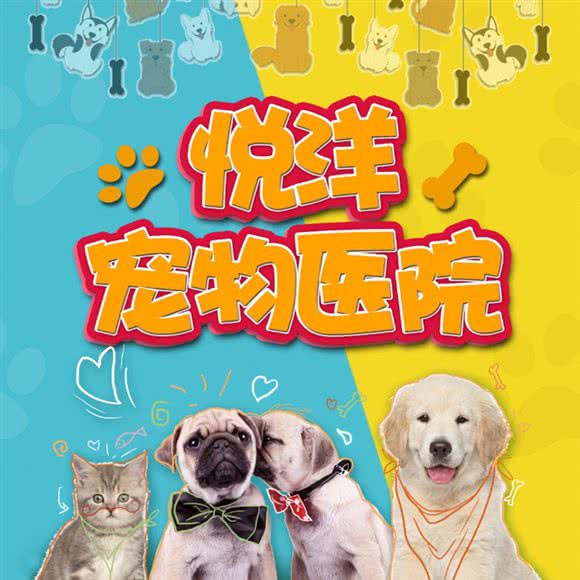 悦洋宠物医院(袁家岗店):重庆城区九龙坡区袁家岗附近