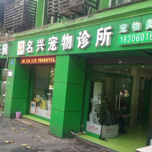 名兴猫乐园:重庆城区九龙坡区石桥铺附近