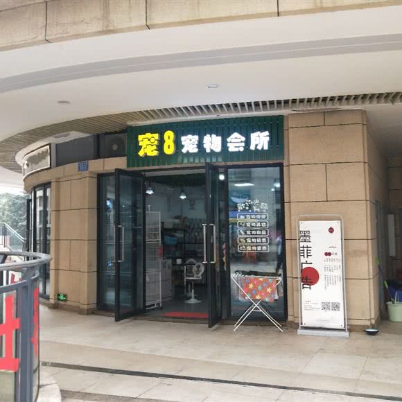 宠8宠物会所:重庆城区九龙坡区石桥铺附近