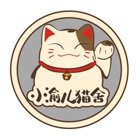 小渝儿猫舍?体验馆:重庆城区九龙坡区石桥铺附近