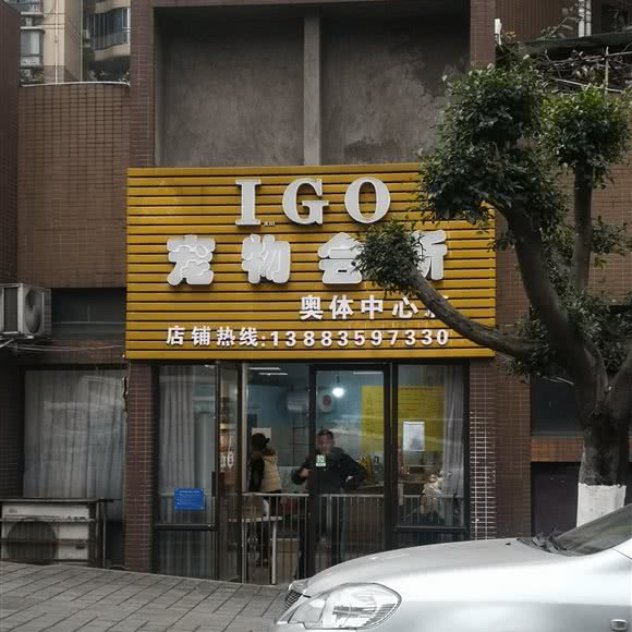 i go宠物会所:重庆城区九龙坡区石桥铺附近