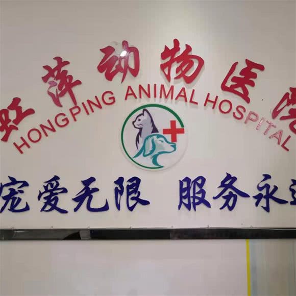 虹萍动物医院:重庆城区九龙坡区石桥铺附近