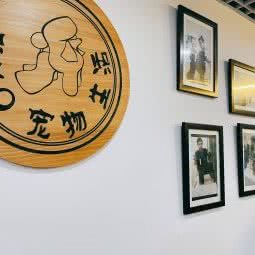 提莫宠物生活:重庆城区九龙坡区巴国城附近