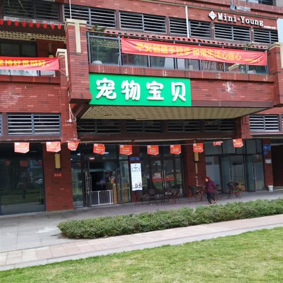 宠物宝贝:重庆城区九龙坡区巴国城附近