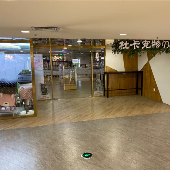 杜卡宠物先生店:石家庄市长安区方北附近