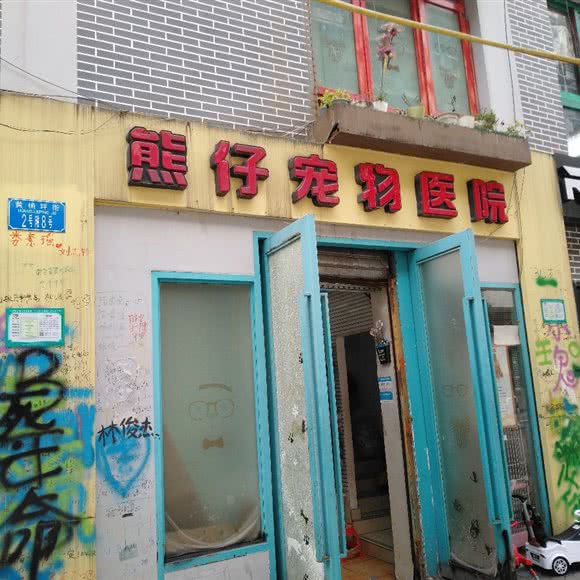 熊仔宠物医院:重庆城区九龙坡区黄桷坪附近