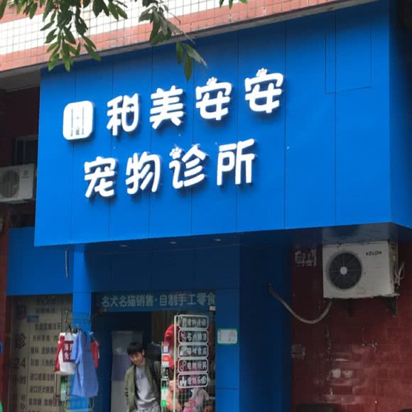 和美安安宠物诊所:重庆城区九龙坡区黄桷坪附近