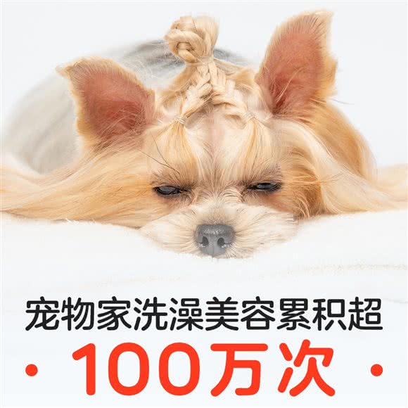 宠物家(和平里店):北京城区朝阳区安贞附近