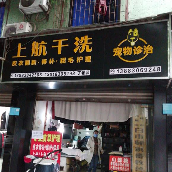 宠物诊治:重庆城区九龙坡区白市驿附近