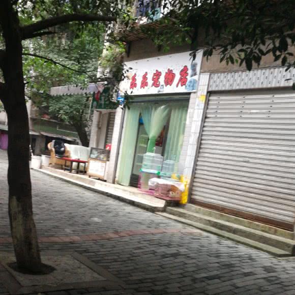 乐乐宠物美容工作室:重庆城区九龙坡区西彭附近