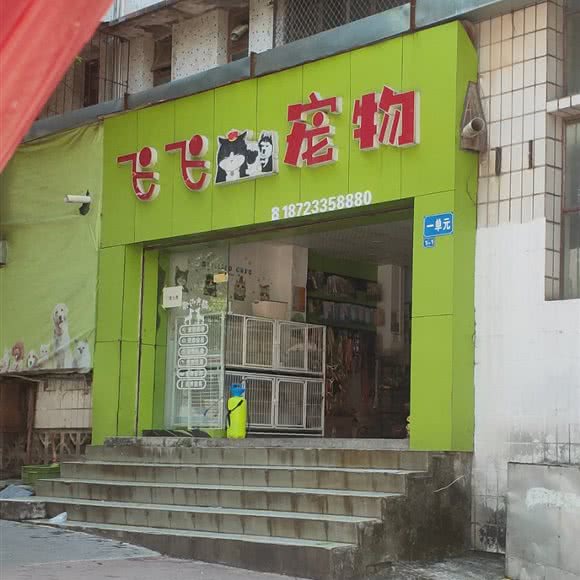 飞飞宠物:重庆城区九龙坡区西彭附近