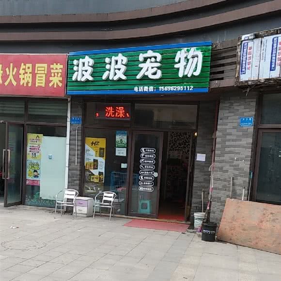 波波宠物:重庆城区九龙坡区华岩新城附近