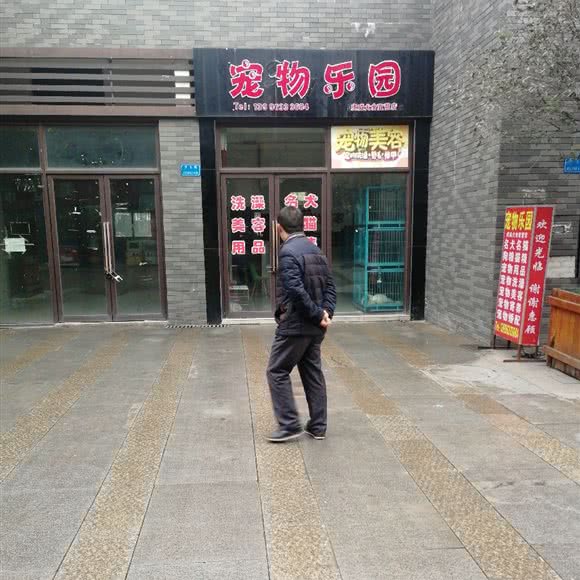 宠物乐园:重庆城区九龙坡区华岩新城附近