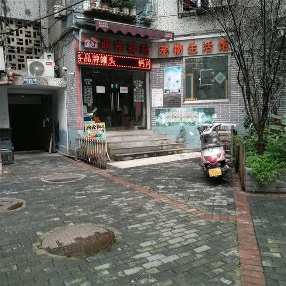 萌宠驿站:重庆城区南岸区南坪附近