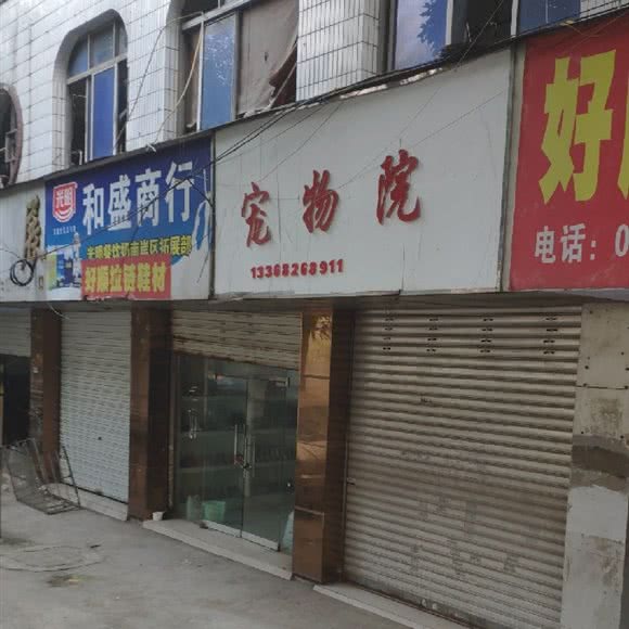宠物院:重庆城区南岸区南坪附近