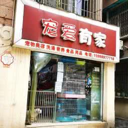 宠爱有家:重庆城区南岸区南坪附近