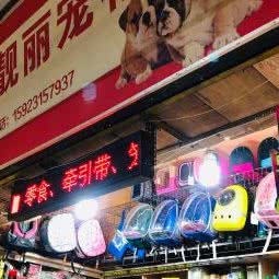 靓丽宠物行:重庆城区南岸区南坪附近