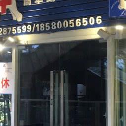 单纯动物医院:重庆城区南岸区南坪附近