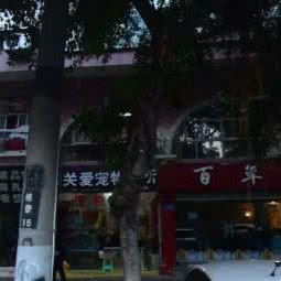 关爱宠物诊所:重庆城区南岸区南坪附近