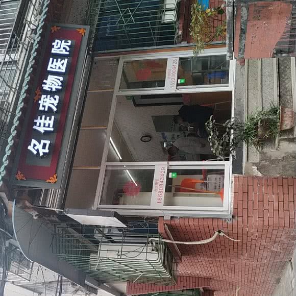 名佳宠物诊所:重庆城区南岸区南坪附近