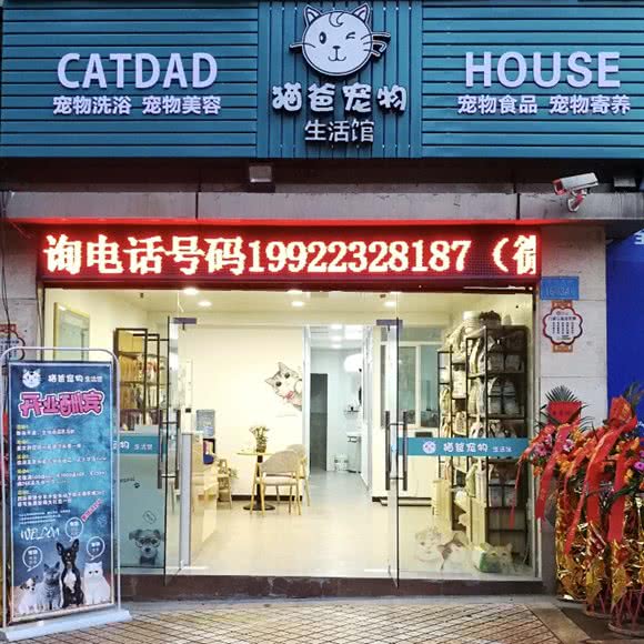 猫爸宠物生活馆:重庆城区南岸区回龙湾附近