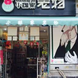 小雄家宠物:重庆城区南岸区四公里附近