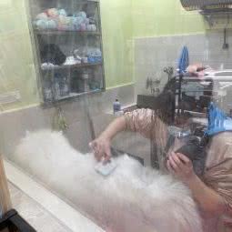 悦宠计划狗狗美容工作室:重庆城区南岸区弹子石附近